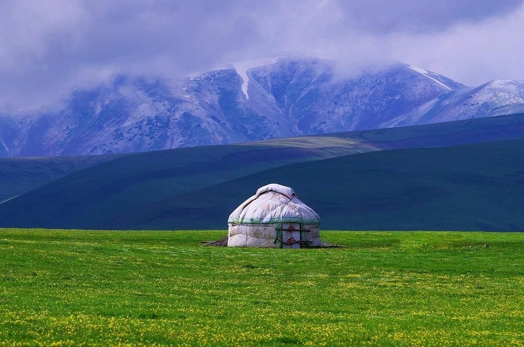 Асы